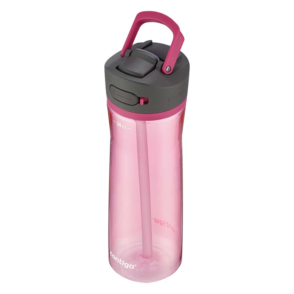 ASHLAND 2.0 Trinkflasche Rosa 720 ml