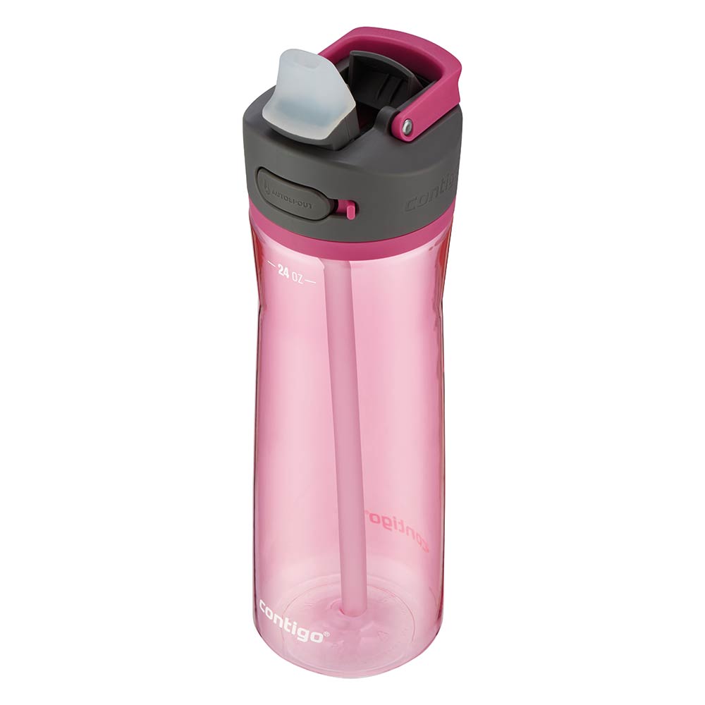 ASHLAND 2.0 Trinkflasche Rosa 720 ml