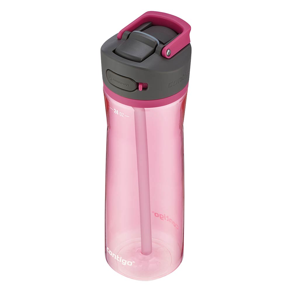 ASHLAND 2.0 Trinkflasche Rosa 720 ml
