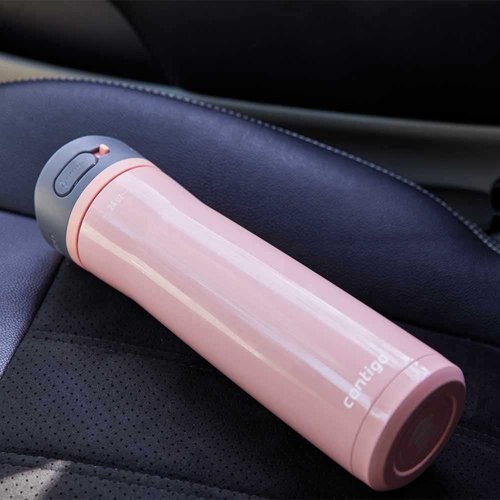 ASHLAND CHILL 2.0 Metallflasche Pink Lemonade 720 ml