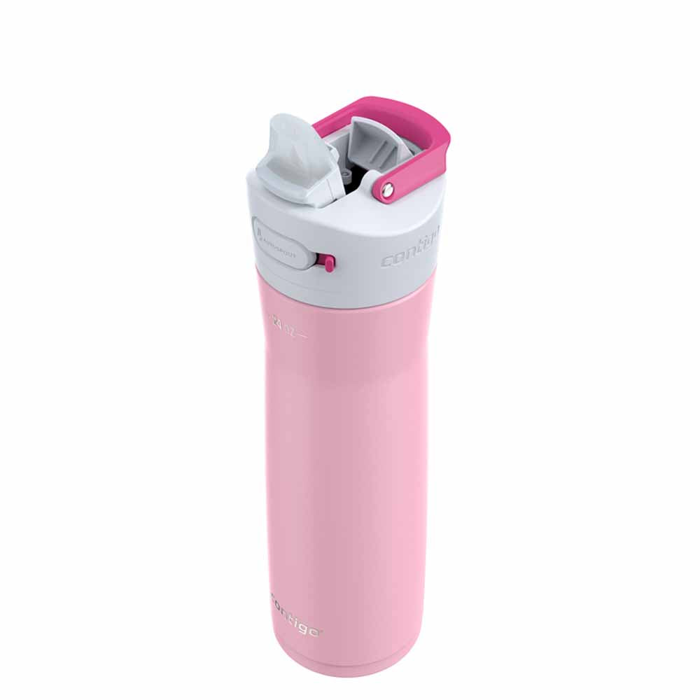 ASHLAND CHILL 2.0 Metallflasche Hellrosa 720 ml