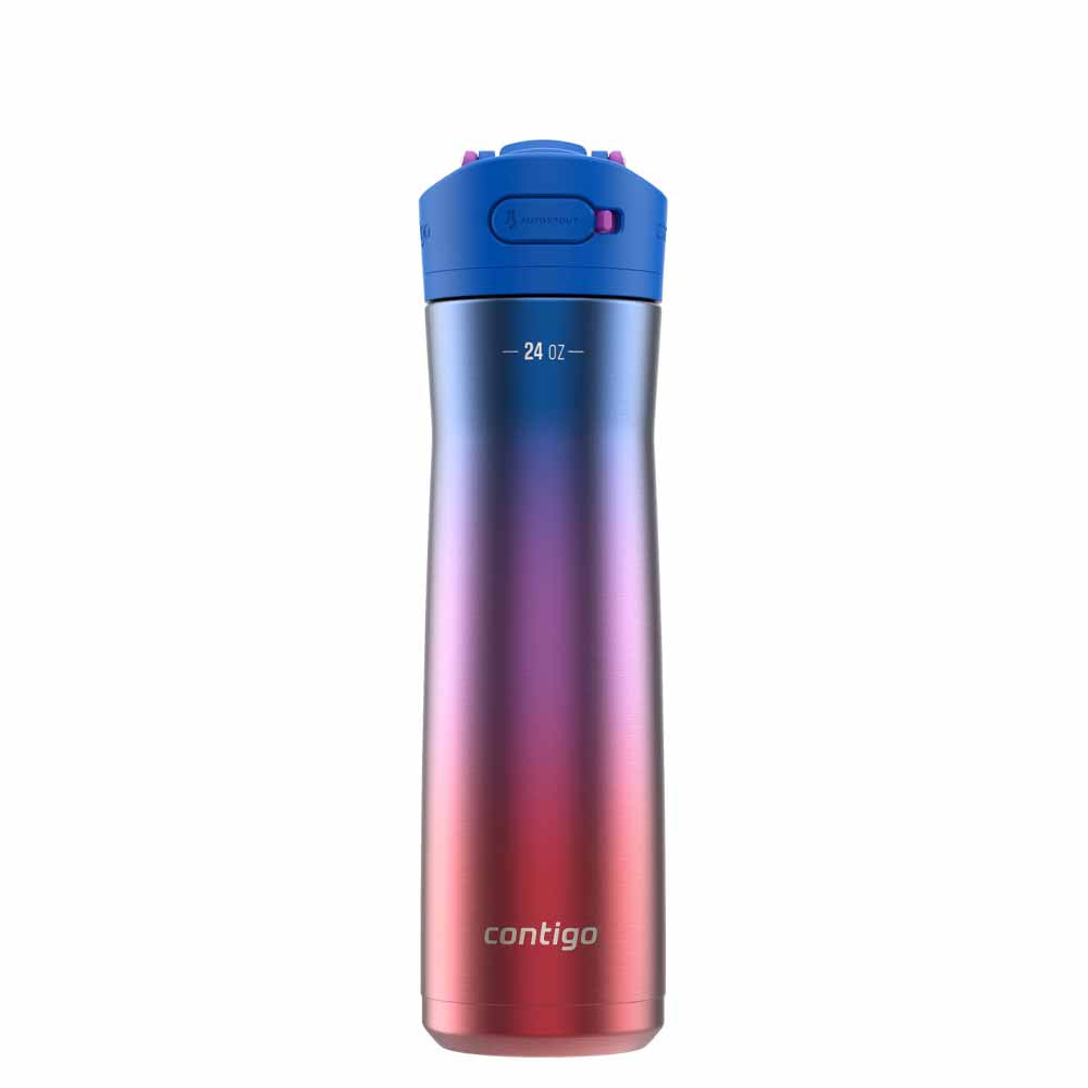 ASHLAND CHILL 2.0 Metallflasche Red Ombre 720 ml