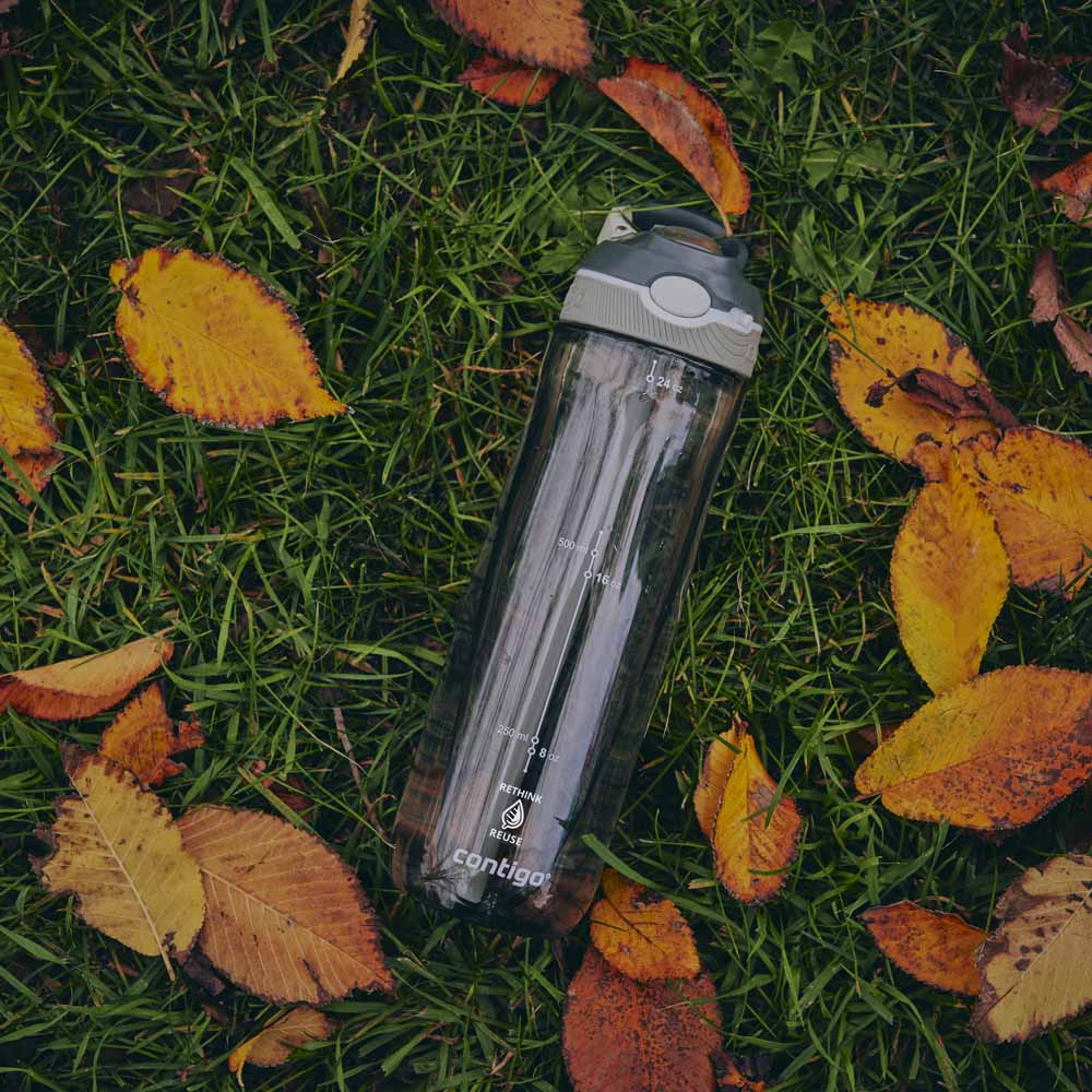 ASHLAND Flasche Grau 720 ml